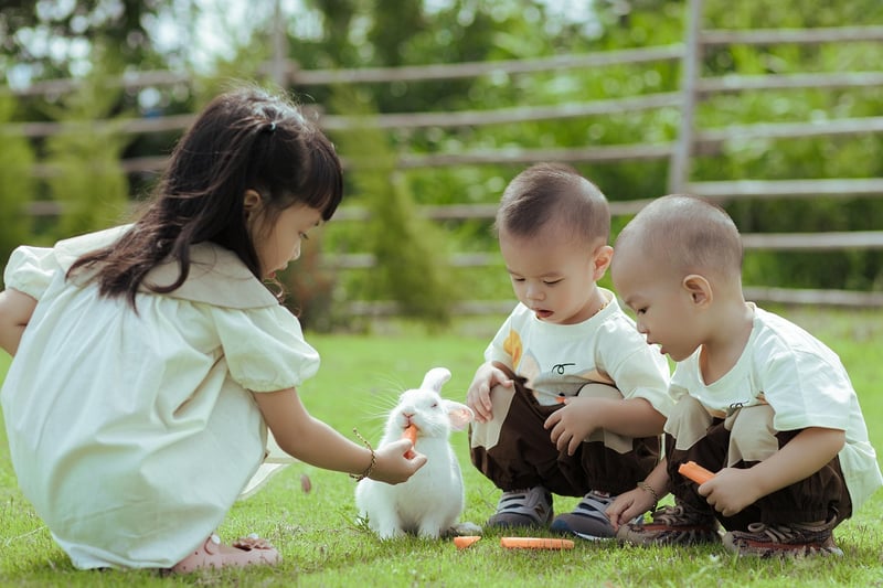 Outdoor Picnic